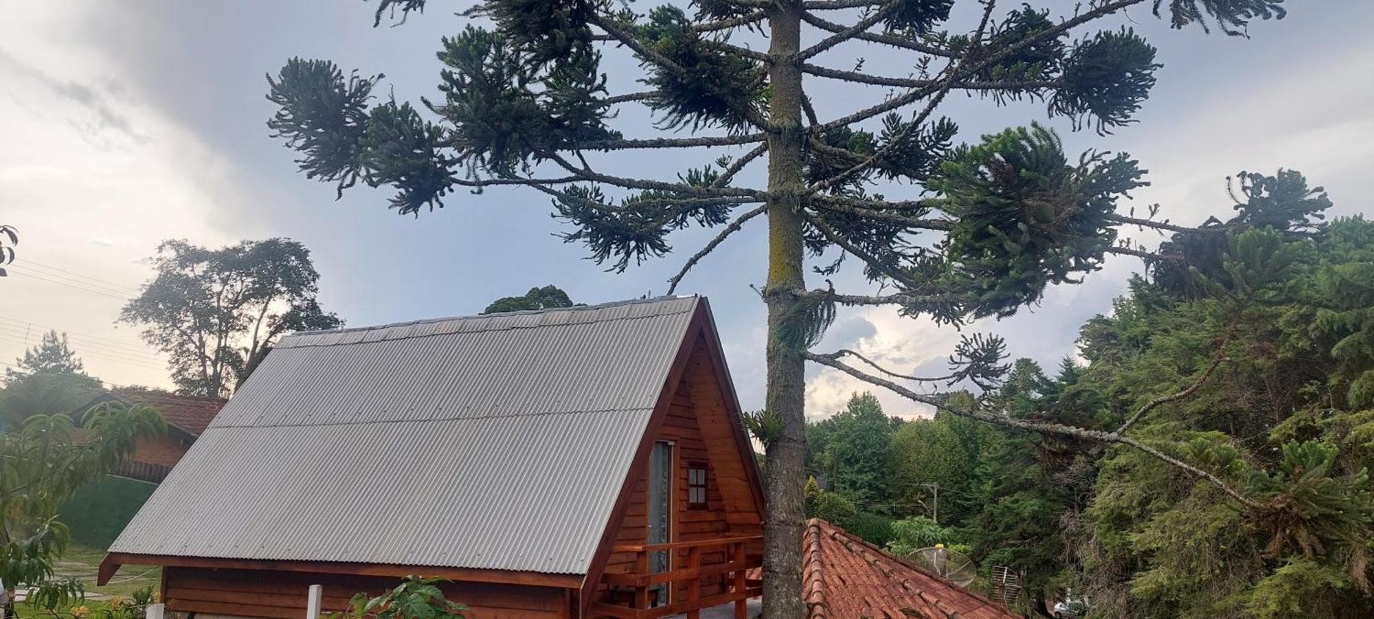 Chale Com Hidromassagem Da Vick Hotel Campos do Jordão Eksteriør billede
